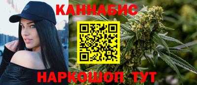 амф Кингисепп