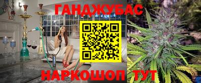 амф Кингисепп
